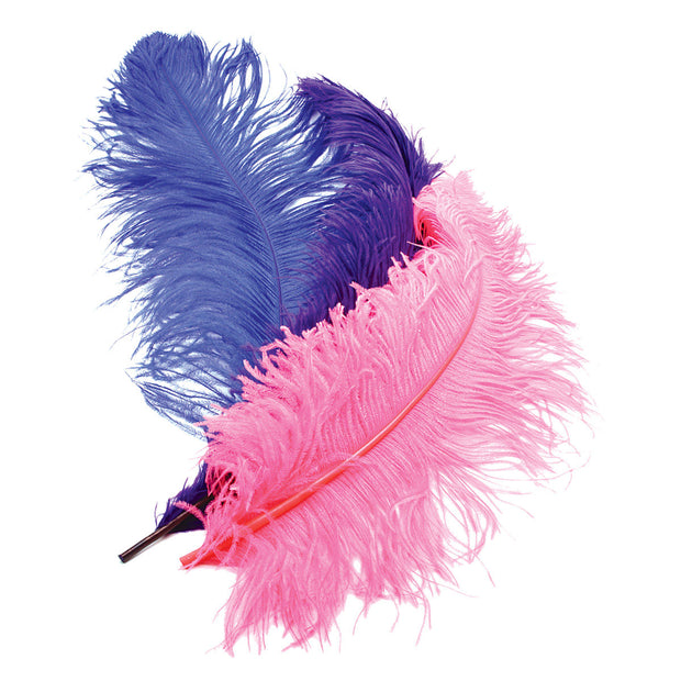 Deluxe Plumes Large 18-28&quot; Ostrich Feathers